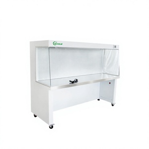 Cabine à flux laminaire Classe 100 en acier inoxydable, poste <span class=keywords><strong>de</strong></span> travail propre à flux d'air horizontal HEPA pour <span class=keywords><strong>laboratoire</strong></span> - Product Image 1