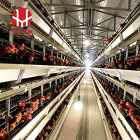 Cage à batterie pour poulets de chair de type H, 3 niveaux, avec plancher en plastique, alimentation et abreuvement automatiques, bande transporteuse pour fumier, OEM, en acier galvanisé