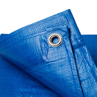 Bâches de bâche en Pe tissu de bâche de récolte d'olives en plastique imperméable et résistant à la pluie pour bâches de camping de tente bâche en PE