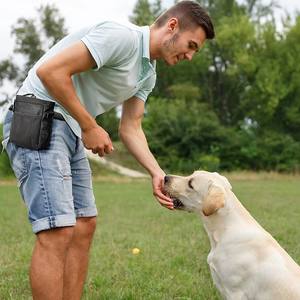 Bolsa para Premios de Perro, Bolsa para Premios con Dispensador de Bolsas para Excrementos para <span class=keywords><strong>el</strong></span> Entrenamiento de Mascotas y para Transportar Juguetes y Premios para Mascotas - 3 Formas de Usar - Product Image 6