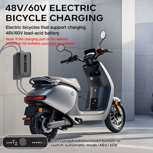Cargador de bicicleta eléctrica de alta potencia de 48V/60V 3A adecuado para varios modelos con baterías de plomo-ácido y varios enchufes disponibles - Product Image 6