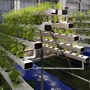 Sistema de plantación hidropónica vertical de tamaño pequeño que ahorra espacio Plantine de tubo cuadrado - Product Image 6