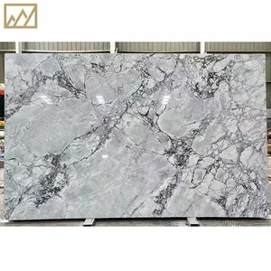 Kings-Wing siêu trắng sang trọng đá cẩm thạch tùy chỉnh màu xám Countertop lưu vực sàn gạch sang trọng đá cẩm thạch cho phòng tắm tường