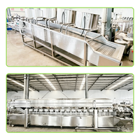 Línea de Producción de Papas Fritas de 2000 kg/h, Línea de Producción Automática de Papas Fritas Comercial
