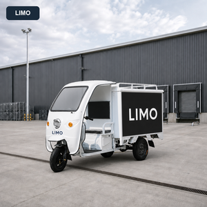 Triciclo Eléctrico de Reparto con Toldo, Triciclo Eléctrico Cerrado para Transporte de Carga, Vehículo Eléctrico de Logística de 3 Ruedas - Product Image 5