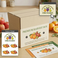 Op maat gemaakte Pp holle gevouwen fruitdoos van golfkarton voor sinaasappels, appels, kiwi's, drakenvruchten en groenteverpakkingen