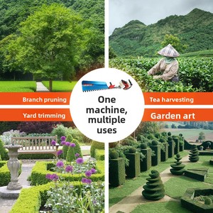 Vente en gros usine Modèle 32 Machine de taille de haies multifonctionnelle à <span class=keywords><strong>essence</strong></span> deux temps pour une personne, entièrement révisée - Product Image 4