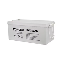 Batterie gel Thinmax Deep Cycle 12V 200AH de haute qualité pour système de stockage d'énergie solaire avec garantie d'un an