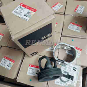 Qsm11 M11 Cummins phần Piston 4089865 3016652 3103752 3103753 4070653 3803977 3102367 3893752 3899413 4374086 - Product Image 4