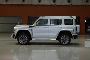 Offerta Speciale: <span class=keywords><strong>Saab</strong></span> Tank 300 SUV Compatto Usato Modello 2021 2.0T 4WD in Vendita - Product Image 5