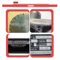 Máquina de Grabado Láser Automática por Micropercusión, Precisión de 0.01mm, Área de Marcado de 150x100mm, 220V, Control por Windows, para Metal, 1 Año de Garantía