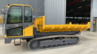 Nouveau transporteur sur chenilles en acier de 6 tonnes Dumper chenillé