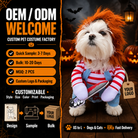 Ensemble de costumes de chat d'Halloween personnalisés OEM ODM, tenue de cosplay pour animaux de compagnie, chapeau de sorcière, cape, vêtements de chat personnalisés, faible MOQ