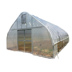 Serre gothique de haute qualité Skyplant pour la plantation de légumes - Product Image 1