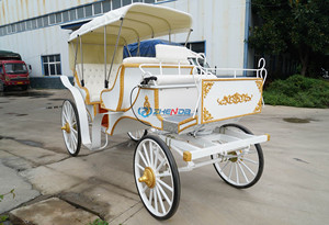 High Quality Cheap Sightseeing Horse Carriage Electric Wedding Travel Carriage Tourism Natural Carriage Special Transportation - Product Image 3