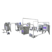 Hoge Automatisering Appelsap Productielijn/Mango Sap Productielijn/Vruchtensap Maken Machine