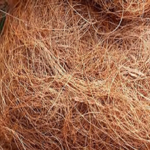 เส้นใยมะพร้าวธรรมชาติสำหรับที่นอนแปรงเสื่อปลูกเชือกคลุมด้วยหญ้าเส้นใยมะพร้าวขายส่งจากอินเดีย - Product Image 1