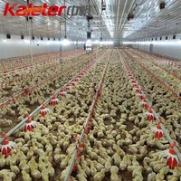 Poulet de chair poulet maison d'élevage mangeoire automatique pour poussins et boissons fermes de poulet mangeoire équipement d'élevage de volaille poulet