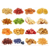 Vriesdroogapparaat snoep fruit voedsel groente vlees automatische vriesdroogapparaat vacuümvriesdroogapparaat lyofilisator machine