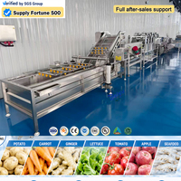 Baiyu Automatische Fruit-, Groente-, Sojabonen-, Mais- en Notenwasmachine met Ozonbel-wasfunctie en hogedrukreiniging en -droogfunctie