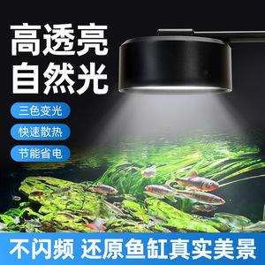 Éclairage LED pour aquarium, spectre complet, éclairage pour plantes avec fixation par pince pour aquarium, usage décoratif - Product Image 2