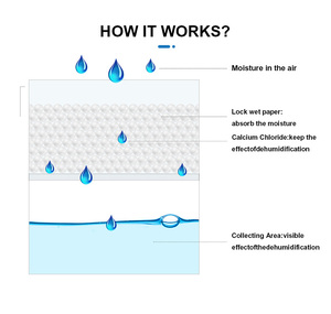 OEM/ODM Factory Price 100ml <strong>Disposable</strong> Moisture Absorber Box Multi-Purpose <strong>Dehumidifier</strong> for Household Use Household Chemicals - Product Image 5