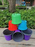 Mini pot de fleurs succulentes de jardin de semis double couleur en plastique PP pour serre bon marché en gros