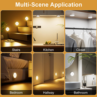 Éclairage LED sous armoire rechargeable avec détecteur de mouvement, lumières à piles, télécommande, 3 températures de couleur, intensité réglable, fixation magnétique, cuisine