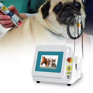 Veterinaire Fysiotherapie Koude Laser Apparaat Voor Hond/Kat/Paard/Pet Animal