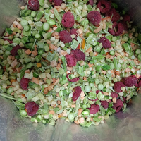 Guoyue 100% Natuurlijke Fruitchips Groenten Op Maat Gevriesdroogd Fruit Huisdiervoeder Snacks Gevriesdroogde Gemengde Groenten Voor Huisdieren
