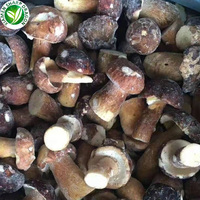 Champignons entiers IQF Boletus Edulis Prix Champignons Congelés Suillus Luteus Chine SD 12 Tonnes (Charge Mixte avec Durée de Conservation de 24 Mois Toute l'Année)