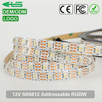 Ruban LED à Pixels RVBW Adressable 12V SK6812 ODM/OEM, Bande Lumineuse LED 12V SK6812
