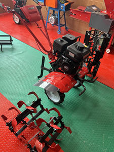 Elétrico Agrícola Plantador De Milho De Batata Equipamento De Ferramentas De Fazenda De Jardim Micro Máquina De Lavoura - Product Image 3