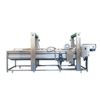 200 Kg/u Frietproductielijn Complete Food Grade Roestvrijstalen Aardappelchips Machine Met Mixer En Friteuse Voor Fruit