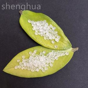 Granulés de plastique vierge de haute qualité ABS/LDPE/HDPE/EVA/PP Granule de polypropylène en matière plastique PP - Product Image 4