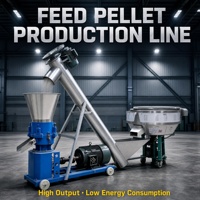 Ligne de production de granulés d'aliments pour animaux Storsen en acier inoxydable, automatique, haute efficacité, machine à granulés d'aliments pour volailles et bétail