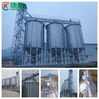 Silo Verticale in Acciaio Inox con Fondo Conico, Capacità 500T-1000T, Assemblaggio Imbullonato, Zincato, per Uso in Allevamenti Avicoli e Stoccaggio