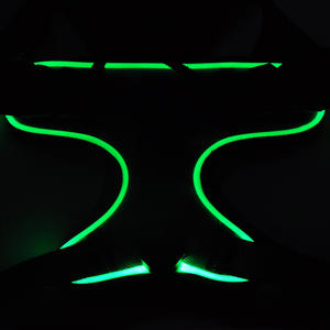 เสื้อกั๊กสุนัข RGB สะท้อนแสงชนิด C ผ้าไนล่อนปรับได้อุปกรณ์สุนัขไฟ LED ความปลอดภัยกลางแจ้งแบบชาร์จไฟได้ดีไซน์ใหม่ - Product Image 6