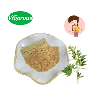Haute qualité 10:1 Yi Mu Cao poudre pour les femmes échantillon gratuit 100% pur Motherwort extrait poudre