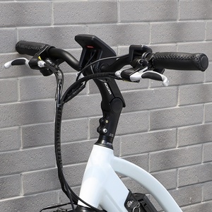 จักรยานไฟฟ้ามอเตอร์ Bafang แบบกลางตัวถัง ดีไซน์ใหม่สั่งทำพิเศษ 36v 250w น้ำหนักเบา <span class=keywords><strong>ยาง</strong></span>ใหญ่ สำหรับผู้ใหญ่ พร้อมกระเป๋าใส่ของ - Product Image 5