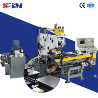 Machines de perçage CNC et de poinçonnage de plaques Raintech, machine de poinçonnage automatique pour plaques en acier métallique