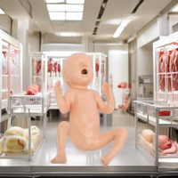 Modèle avancé de bébé prématuré de 24 semaines DARHMMY pour la formation en sciences médicales