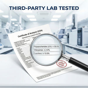 Extrait naturel de Ganoderma Lucidum à haute teneur en polysaccharides et triterpénides, qualité alimentaire, culture sauvage, soluble dans l'eau - Product Image 2