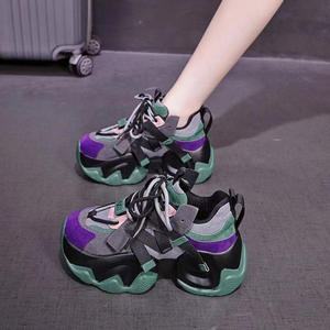 2025 printemps femmes papa chaussures nouveau Style Ins tendance polyvalent décontracté sport hauteur augmenter léger Net célébrité petite taille - Product Image 6