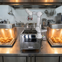 Friteuse Commerciale Intelligente Électrique / Friteuse Robot Automatique à Induction pour Frites