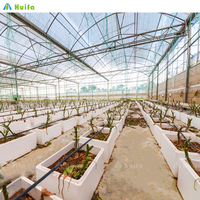 HUIFA Agriculture Poivre Cultivant Serre Pépinières Jardinage Tunnel Polyhouse Couvercle Plastique Maison Verte à vendre
