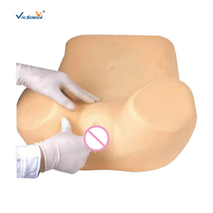 Medische Opleiding Gynaecologische Simulator Hot Sale Gynaecologische Training Simulator Medische Training Model Examen Model - Product Image 1