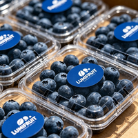 Autocollants personnalisés avec logo, étiquettes pour fruits, vinyle imperméable, 100% alimentaire, pour l'emballage des fruits, la marque des produits, autocollant en rouleau personnalisé
