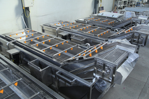 เครื่องทำความสะอาดฟองกิโลกรัม/ชั่วโมง500สำหรับแตงกวาทะเลสาหร่ายทะเลมะม่วงสับปะรดกะหล่ำปลีพริกผักอื่นๆผลไม้ - Product Image 3