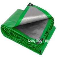 Tissu imperméable transparent vert de couverture de camion de bâche de PVC/PE du fabricant de la Chine avec le modèle enduit pour des garçons et des filles